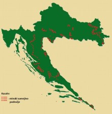 Organizacijska shema